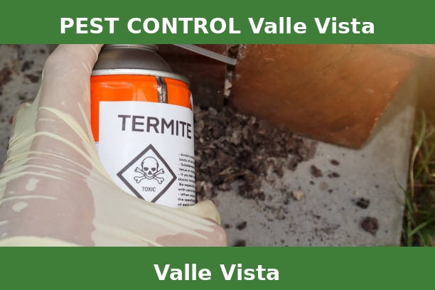 PEST CONTROL Valle Vista